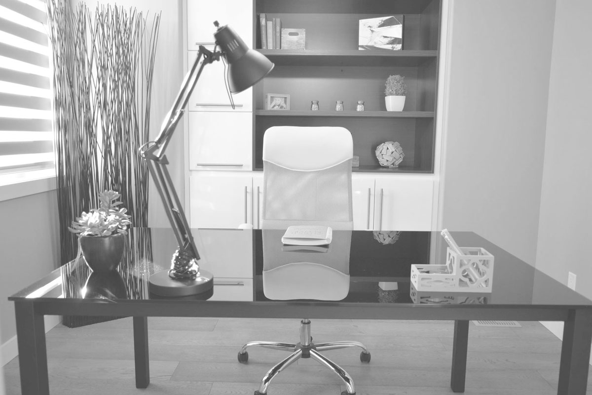 Professional office interior